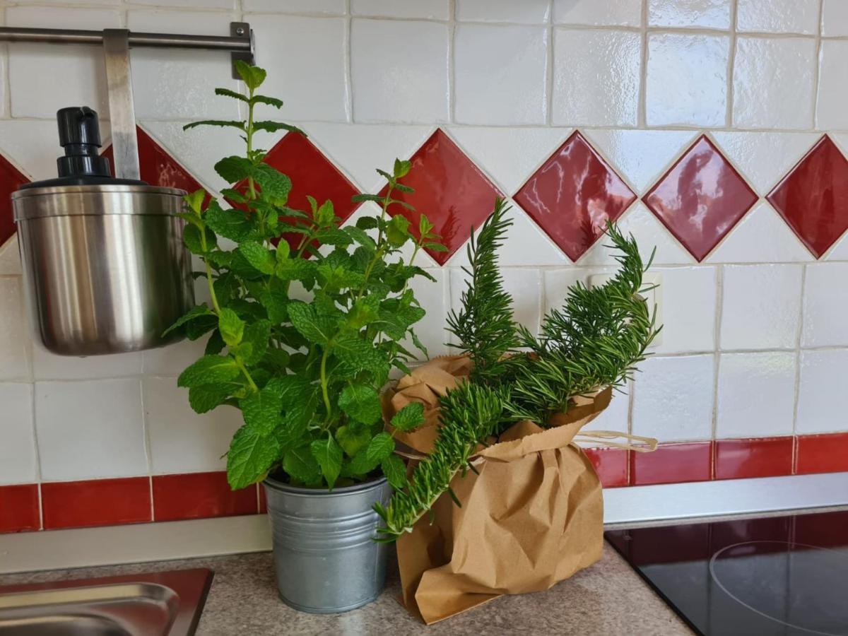 Apartment Vedrana Ровин Екстериор снимка
